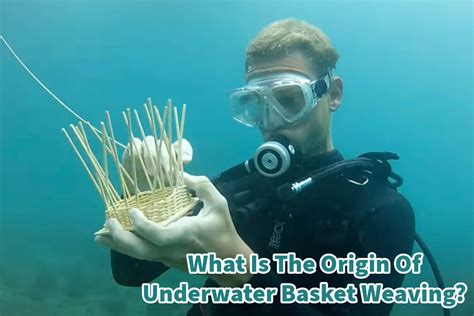 What is general music in middle school, and how does it shape the future of underwater basket weaving?